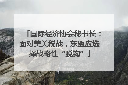国际经济协会秘书长：面对美关税战，东盟应选择战略性“脱钩”