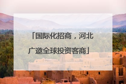 国际化招商，河北广邀全球投资客商