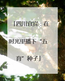 四川宜宾：在时光里播下“五育”种子
