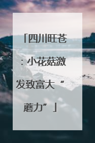 四川旺苍：小花菇激发致富大“蘑力”