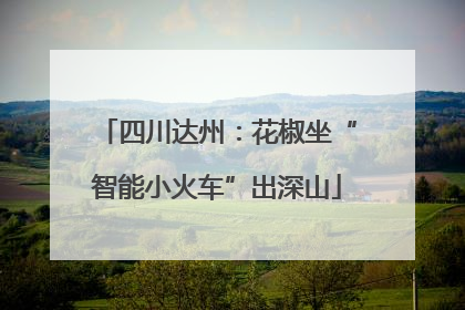 四川达州：花椒坐“智能小火车”出深山