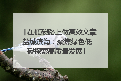 在低碳路上做高效文章 盐城滨海：聚焦绿色低碳探索高质量发展