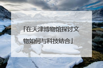 在天津博物馆探讨文物如何与科技结合