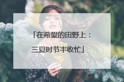 在希望的田野上：三夏时节丰收忙