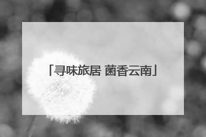 寻味旅居 菌香云南