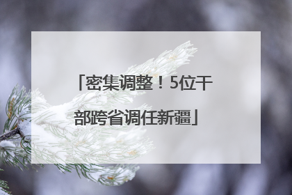 密集调整！5位干部跨省调任新疆