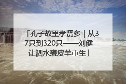 孔子故里孝贤多｜从37只到320只——刘健让泗水裘皮羊重生