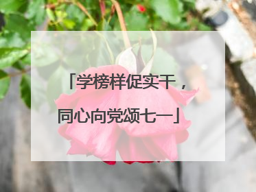 学榜样促实干，同心向党颂七一