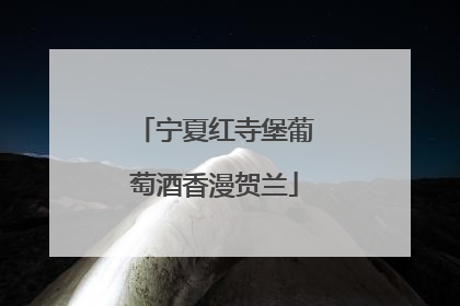 宁夏红寺堡葡萄酒香漫贺兰