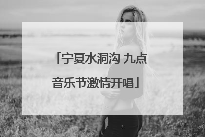 宁夏水洞沟 九点音乐节激情开唱