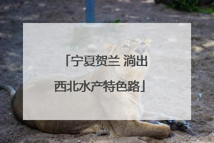 宁夏贺兰 淌出西北水产特色路