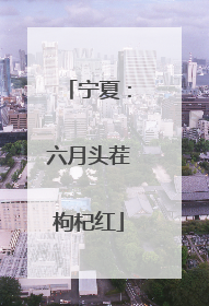 宁夏：六月头茬枸杞红