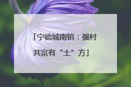 宁德城南镇：强村共富有“土”方