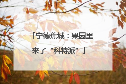 宁德蕉城：果园里来了“科特派”