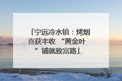 宁远冷水镇：烤烟喜获丰收 “黄金叶”铺就致富路