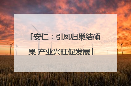 安仁：引凤归巢结硕果 产业兴旺促发展