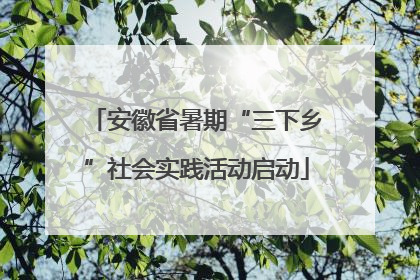安徽省暑期“三下乡”社会实践活动启动
