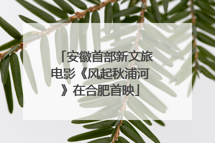 安徽首部新文旅电影《风起秋浦河》在合肥首映