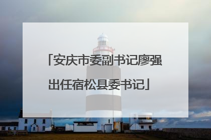 安庆市委副书记廖强出任宿松县委书记