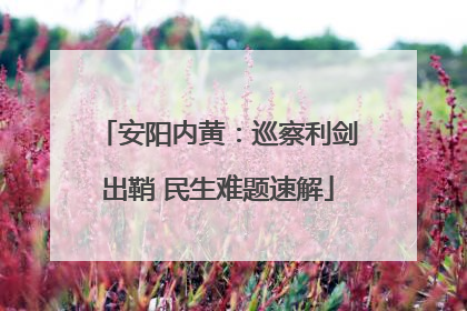 安阳内黄：巡察利剑出鞘 民生难题速解
