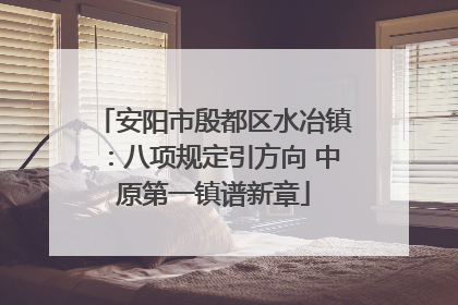 安阳市殷都区水冶镇：八项规定引方向 中原第一镇谱新章