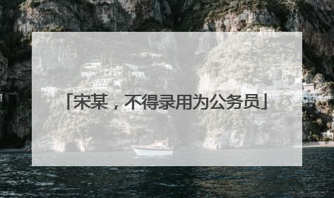 宋某，不得录用为公务员