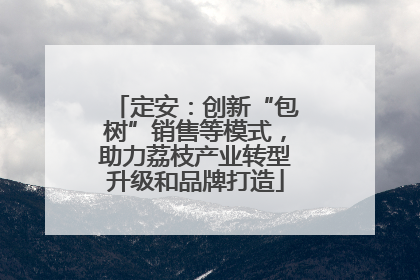 定安：创新“包树”销售等模式，助力荔枝产业转型升级和品牌打造