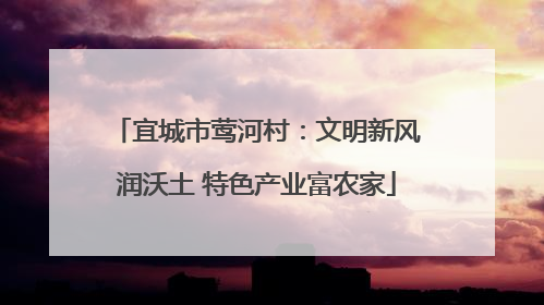 宜城市莺河村：文明新风润沃土 特色产业富农家