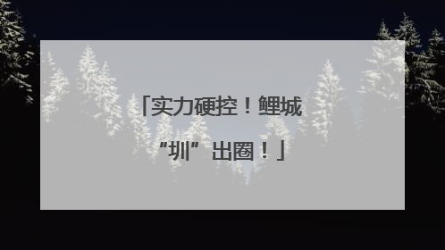 实力硬控！鲤城“圳”出圈！