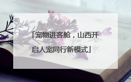 宠物进客舱，山西开启人宠同行新模式