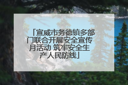 宣威市务德镇多部门联合开展安全宣传月活动 筑牢安全生产人民防线