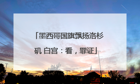 墨西哥国旗飘扬洛杉矶 白宫：看，罪证