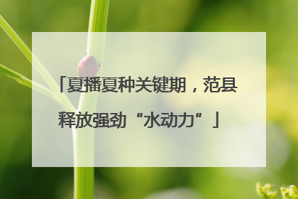 夏播夏种关键期，范县释放强劲“水动力”