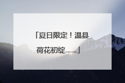 夏日限定！温县荷花初绽……