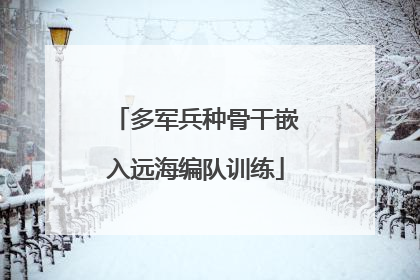多军兵种骨干嵌入远海编队训练