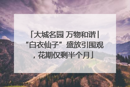 大城名园 万物和谐│“白衣仙子”盛放引围观，花期仅剩半个月