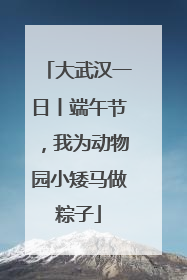 大武汉一日丨端午节，我为动物园小矮马做粽子