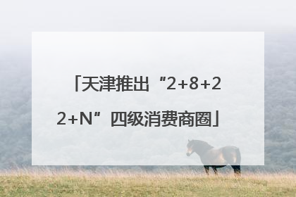 天津推出“2+8+22+N”四级消费商圈