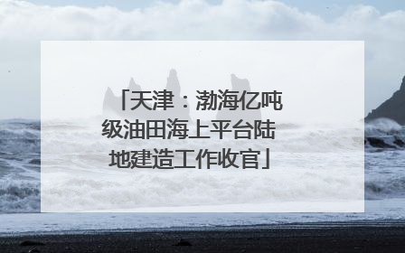 天津：渤海亿吨级油田海上平台陆地建造工作收官
