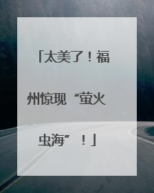 太美了！福州惊现“萤火虫海”！