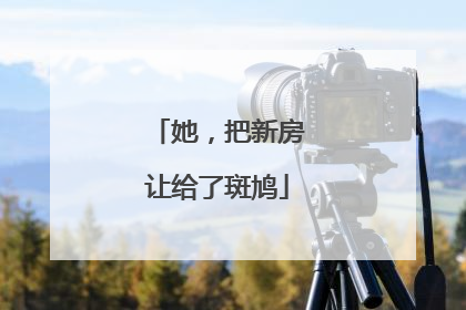 她，把新房让给了斑鸠