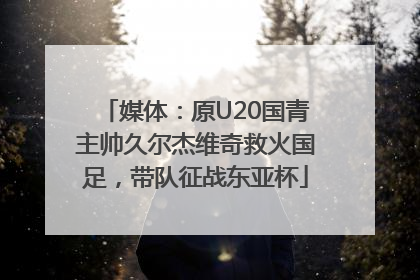 媒体：原U20国青主帅久尔杰维奇救火国足，带队征战东亚杯