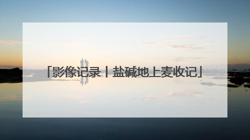 影像记录丨盐碱地上麦收记