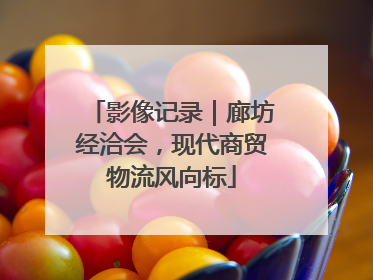 影像记录｜廊坊经洽会，现代商贸物流风向标