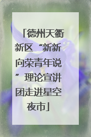 德州天衢新区“新新向荣青年说”理论宣讲团走进星空夜市