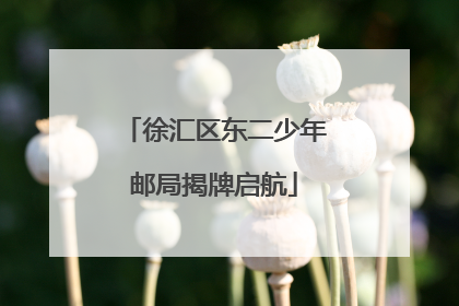 徐汇区东二少年邮局揭牌启航