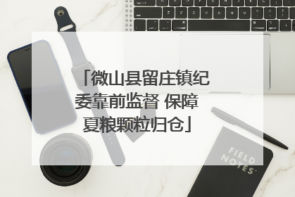 微山县留庄镇纪委靠前监督 保障夏粮颗粒归仓
