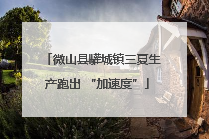 微山县驩城镇三夏生产跑出 “加速度”