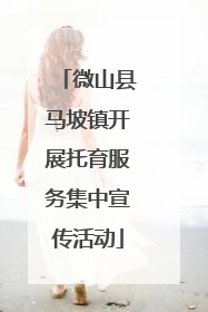 微山县马坡镇开展托育服务集中宣传活动