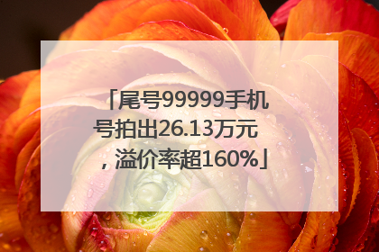 尾号99999手机号拍出26.13万元，溢价率超160%